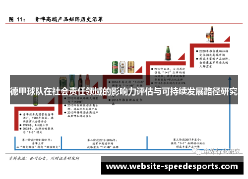 德甲球队在社会责任领域的影响力评估与可持续发展路径研究
