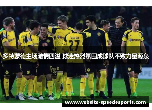 多特蒙德主场激情四溢 球迷热烈氛围成球队不败力量源泉