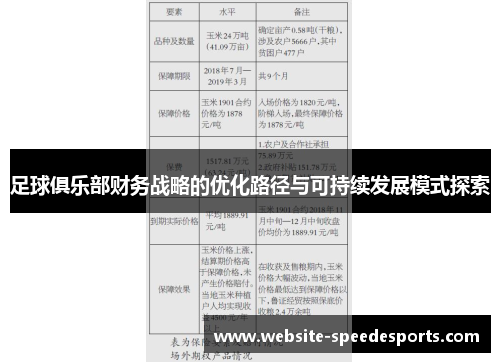 足球俱乐部财务战略的优化路径与可持续发展模式探索