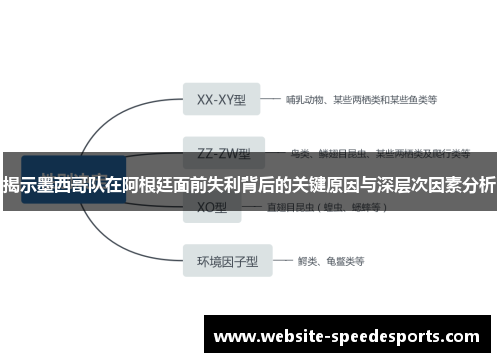 揭示墨西哥队在阿根廷面前失利背后的关键原因与深层次因素分析
