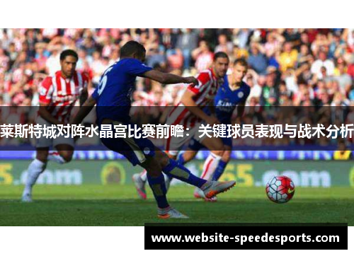 莱斯特城对阵水晶宫比赛前瞻：关键球员表现与战术分析
