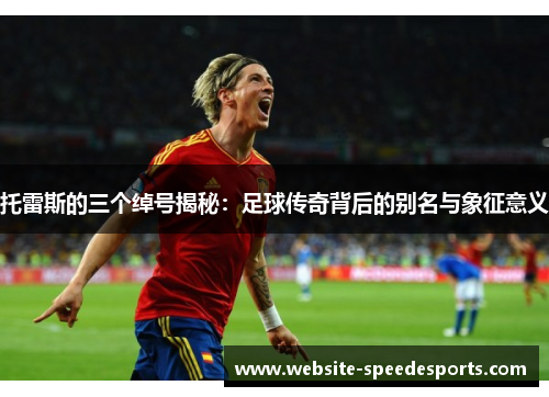 托雷斯的三个绰号揭秘：足球传奇背后的别名与象征意义