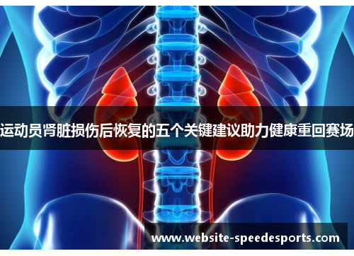 运动员肾脏损伤后恢复的五个关键建议助力健康重回赛场