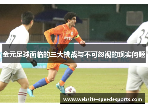 金元足球面临的三大挑战与不可忽视的现实问题